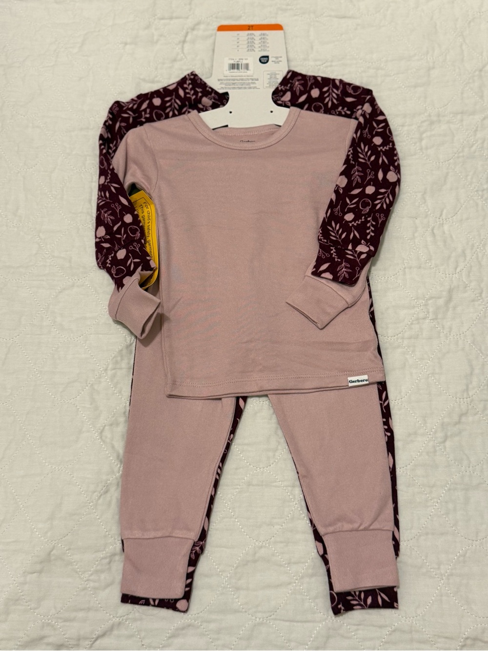 Gerber Mauve Top with Plum Floral Sleeve & Pant Set
